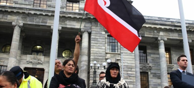 Protect the Treaty of Waitangi undertakings constitutionally.
