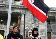 Protect the Treaty of Waitangi undertakings constitutionally.